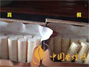 黃金葉天葉真假識別