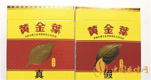 如何辨別黃金葉金滿堂真假？2020黃金葉真假辨別詳情對(duì)比