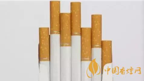 香煙和雪茄哪個(gè)好抽？香煙和雪茄八大區(qū)別介紹2020