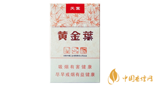 黃金葉天葉真假怎樣區(qū)分？黃金葉天葉真假識別