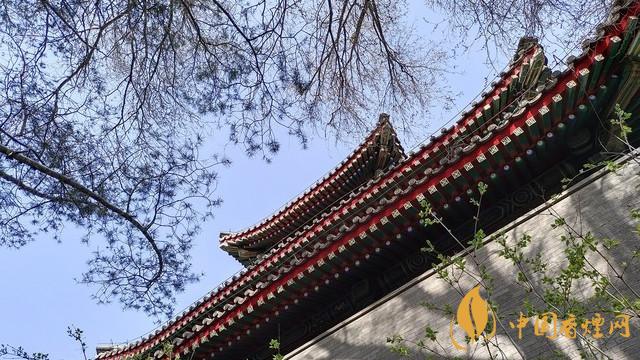 千元5g手機(jī)推薦 iqooz3測評