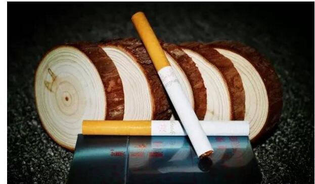 黃鶴樓游泳回歸，爺爺輩最喜愛的香煙品牌