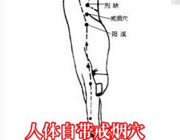 戒煙穴位在哪里?戒煙穴的準確位置圖