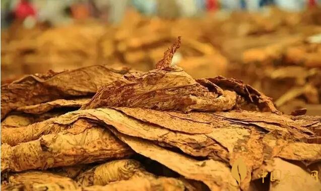 津巴布韋煙葉為什么好，黃金煙葉成為國寶