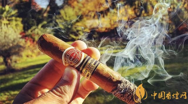 最便宜的雪茄多少錢(qián) 便宜的雪茄多少錢(qián)一盒/根