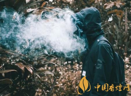 未成年人吸煙有什么危害 青少年吸煙對身體的危害介紹！